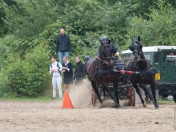 DSC_2121_web